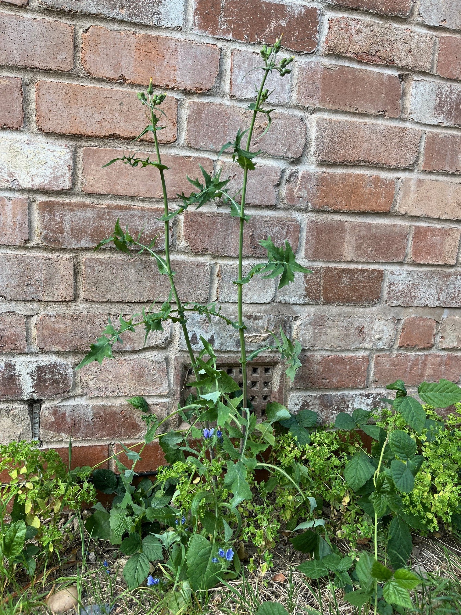 When a strategist falls out of love with strategy