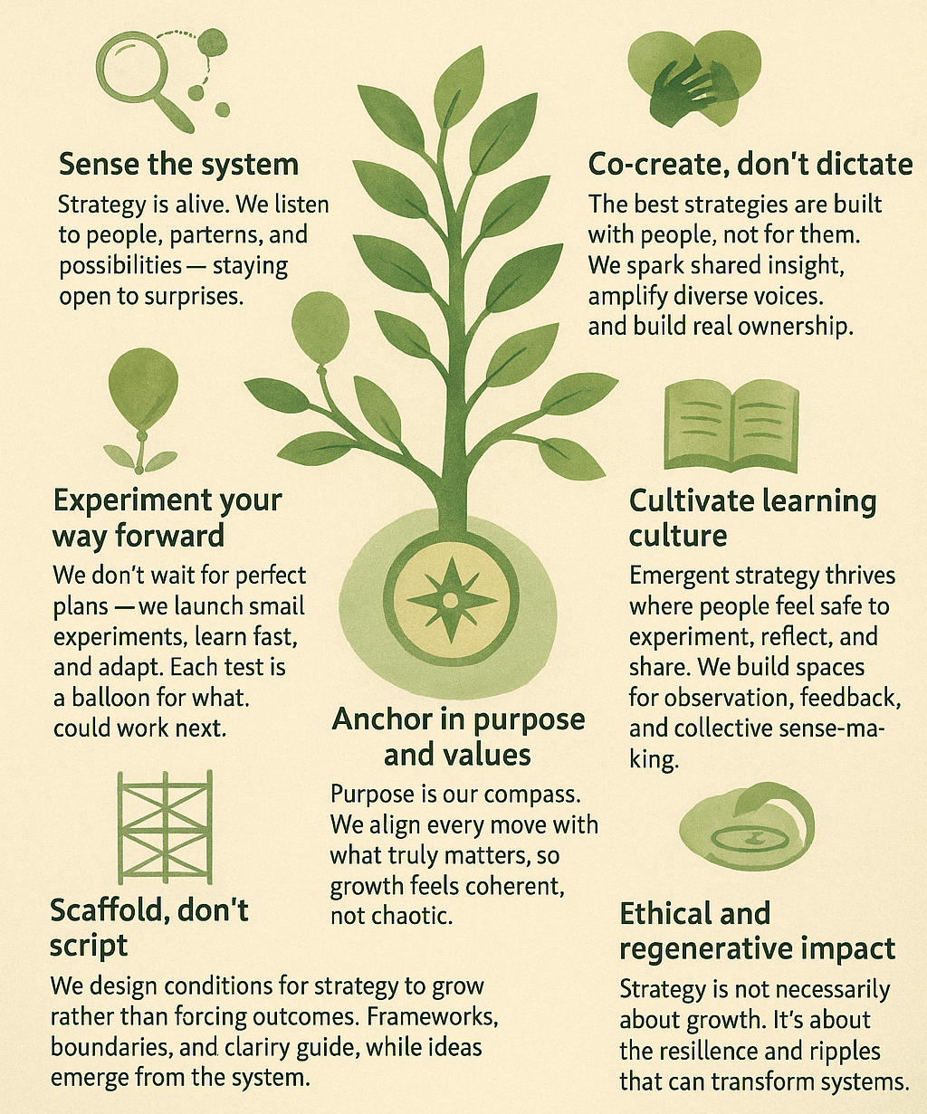 Towards Emergent Strategy